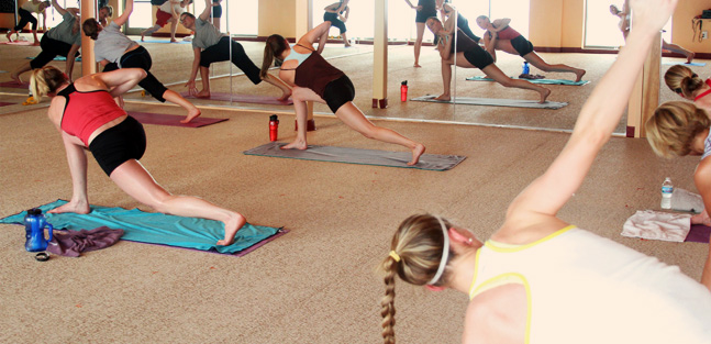 Dragonfly Fusion | Dragonfly Hot Yoga Madison WI